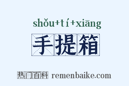 手提箱是什么意思的图片